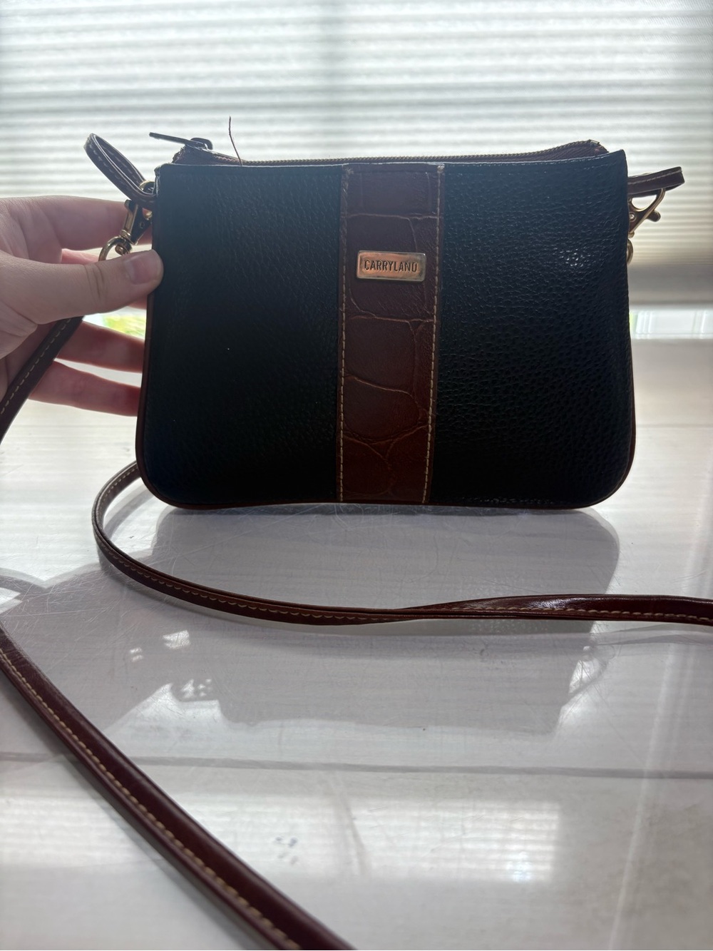 Carryland Black and Brown Crossbody Bag